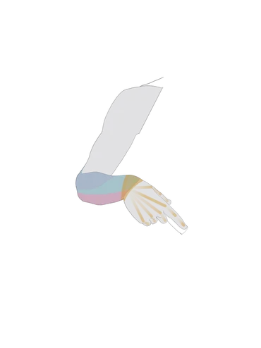 Untitled_Artwork 17