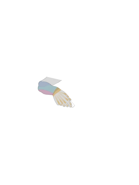 Untitled_Artwork 19